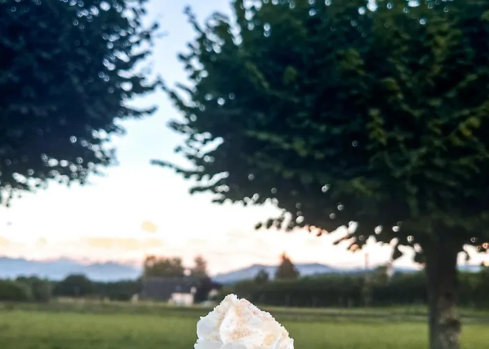 Hotel Bearn Bigorre 2*